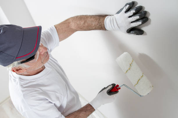 Best Drywall Removal and Disposal  in Coto De Za, CA